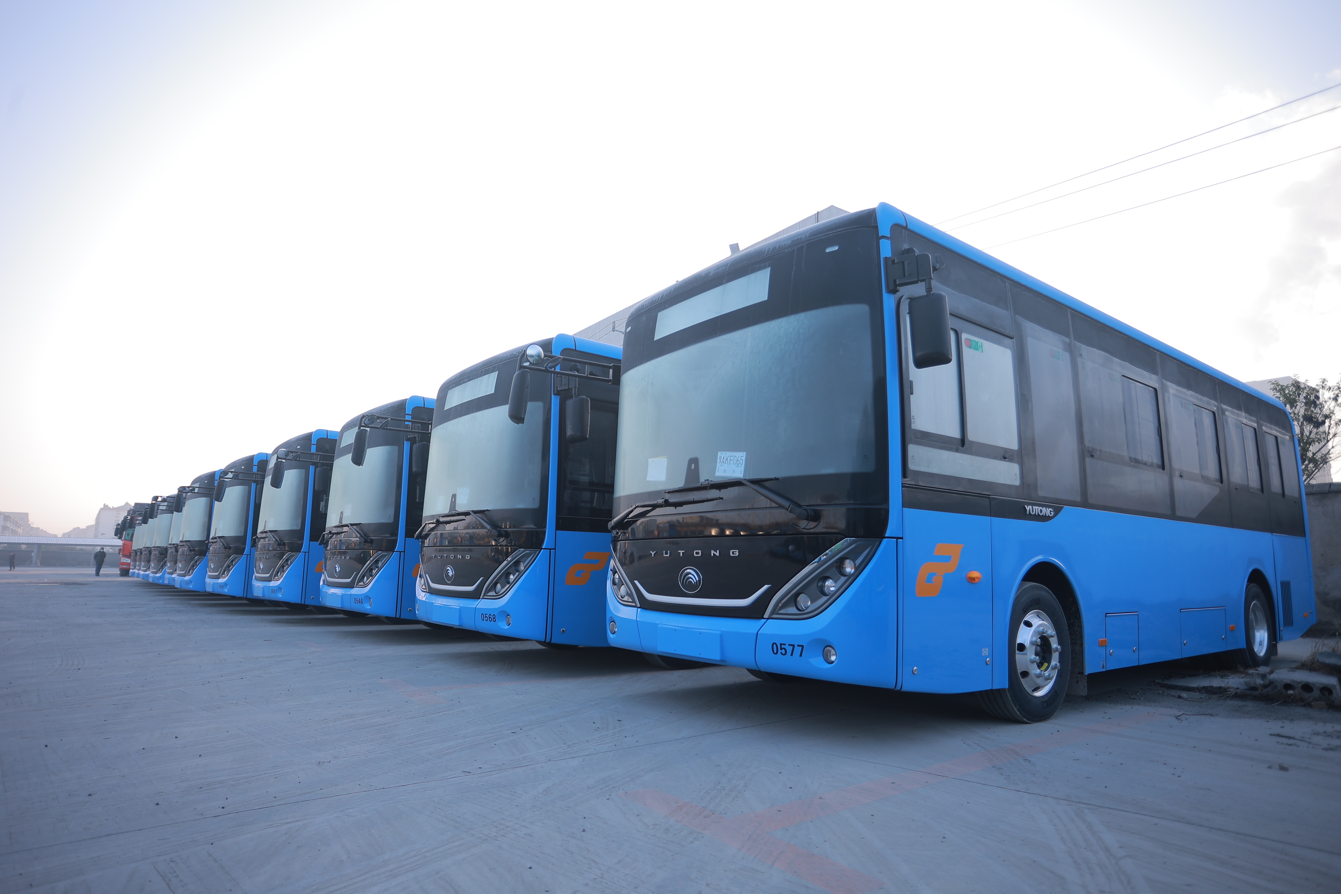 惠民再“上新”！公交集团购置482台纯电动公交车